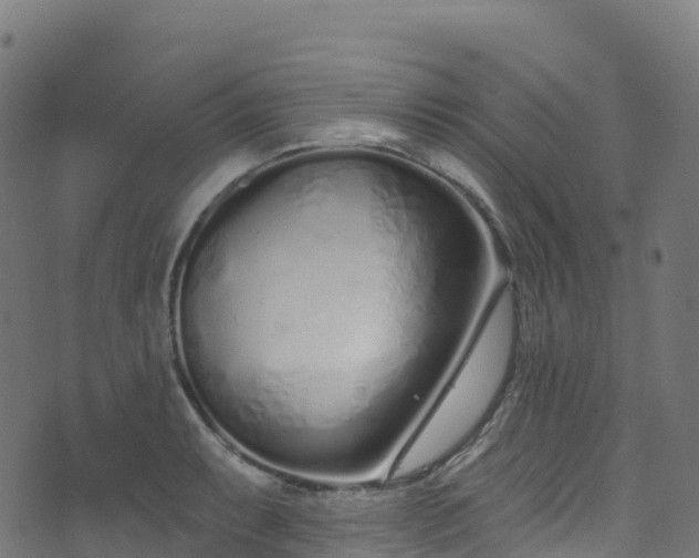 X0000070881087200606231337