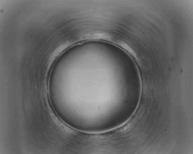 X0000070881088200606231337