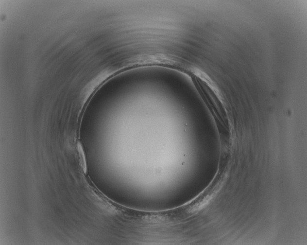 X0000070881089200606231337