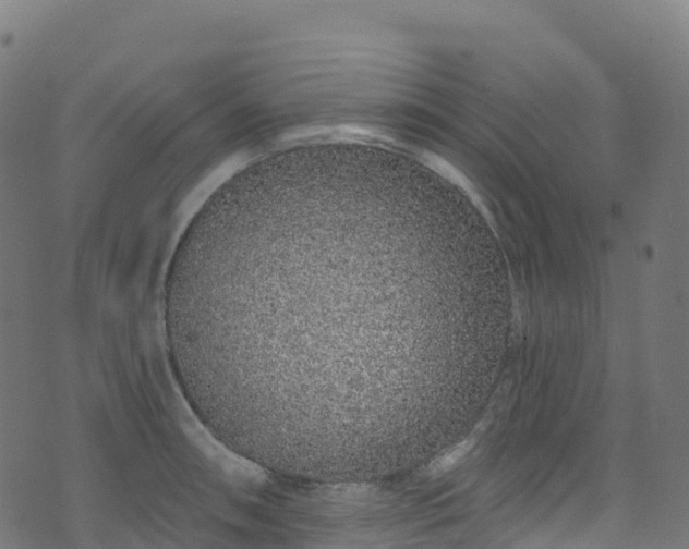 X0000070881090200606231337