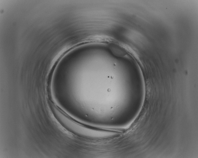 X0000070881091200606231337