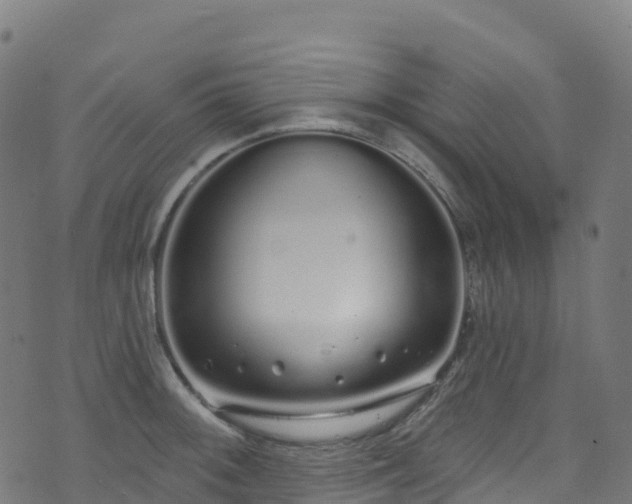 X0000070881092200606231337