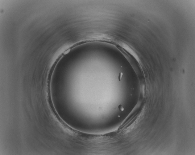 X0000070881093200606231337