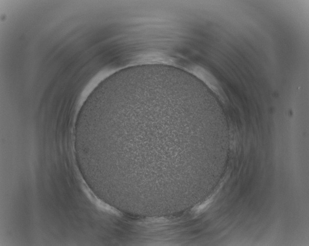 X0000070881094200606231337