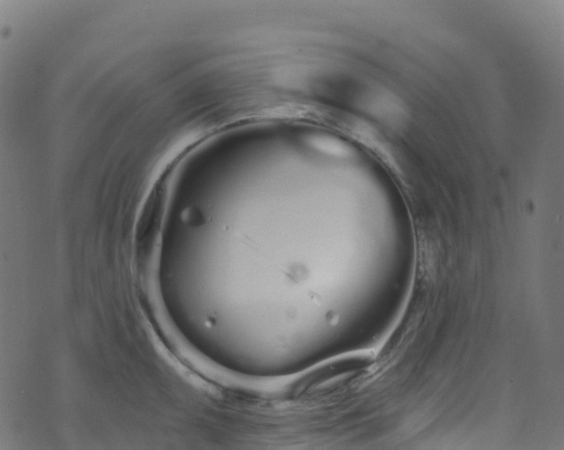 X0000070881095200606231337