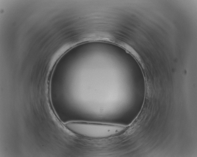 X0000070881096200606231336