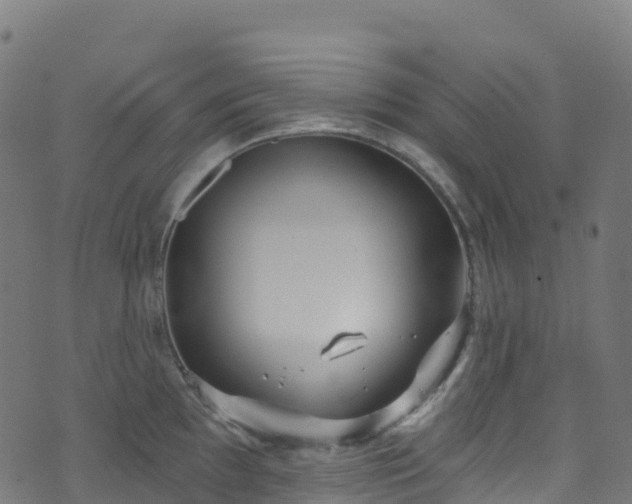 X0000070881097200606231336