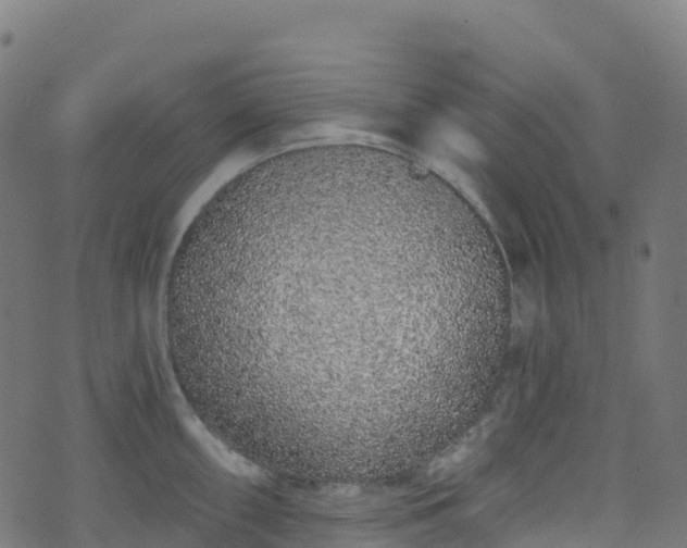 X0000070881098200606231336