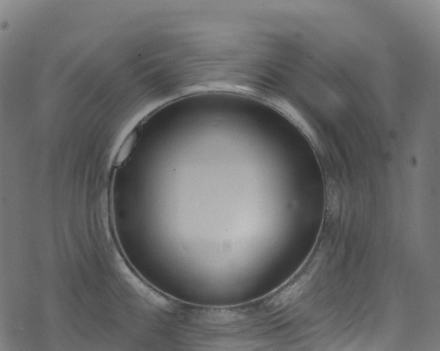 X0000070881100200606231336