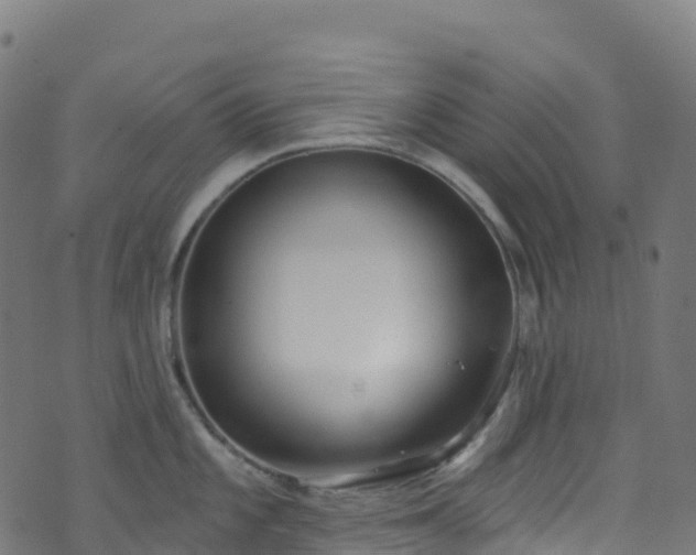 X0000070881101200606231336