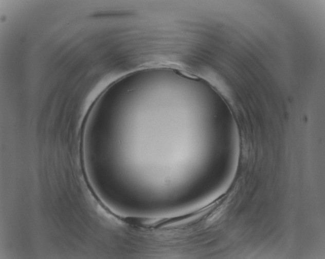 X0000070881102200606231336