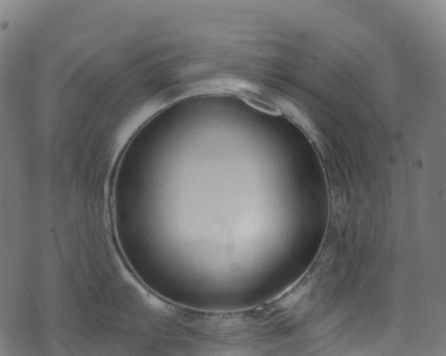 X0000070881103200606231336