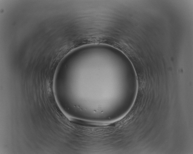 X0000070881106200606231336