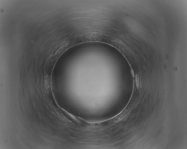 X0000070881107200606231336