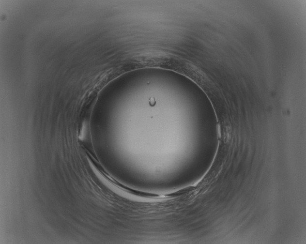 X0000070881108200606231336