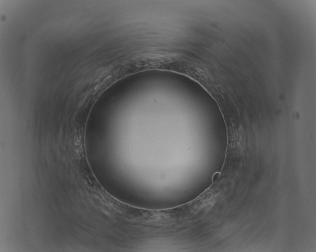 X0000070881109200606231336