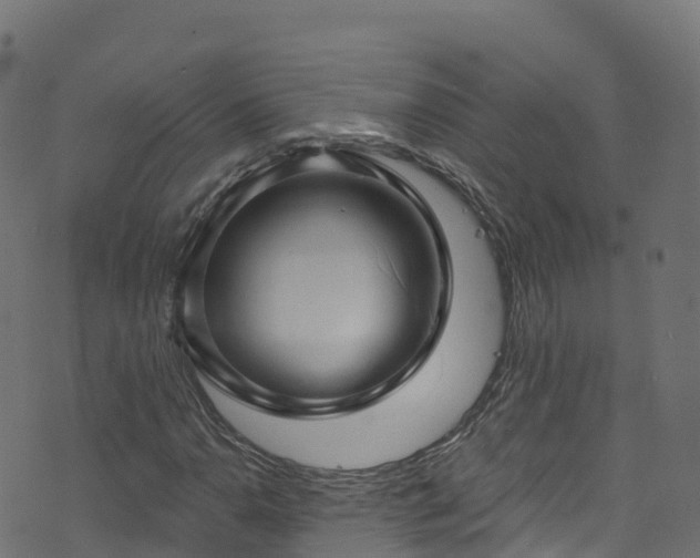 X0000070881110200606231336