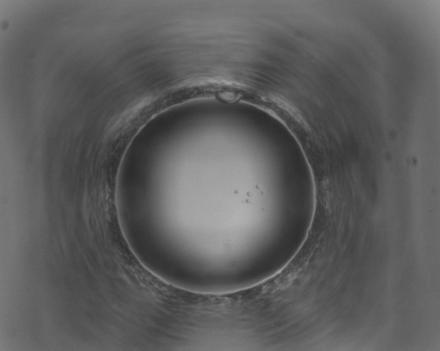 X0000070881111200606231336