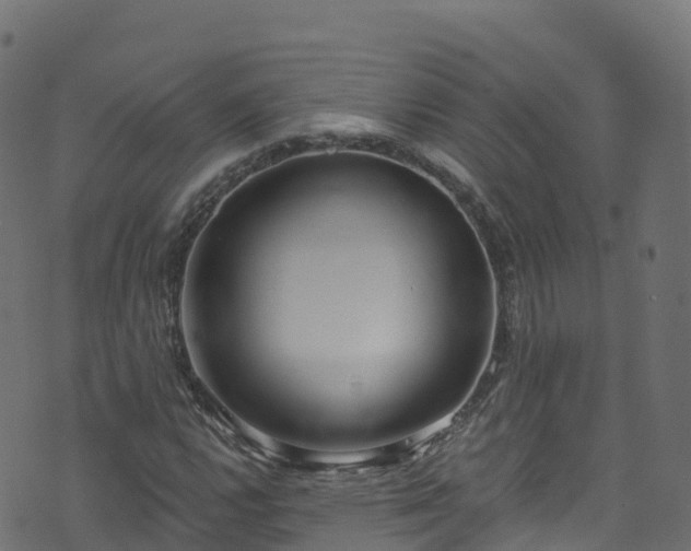 X0000070881112200606231336