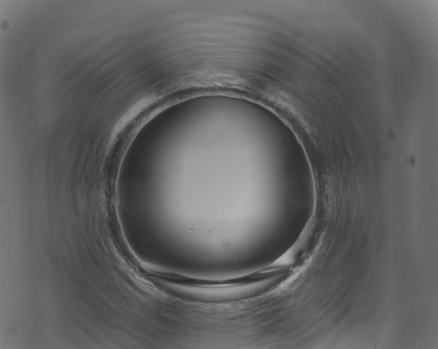 X0000070881114200606231336