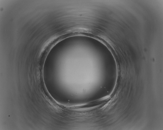 X0000070881115200606231336