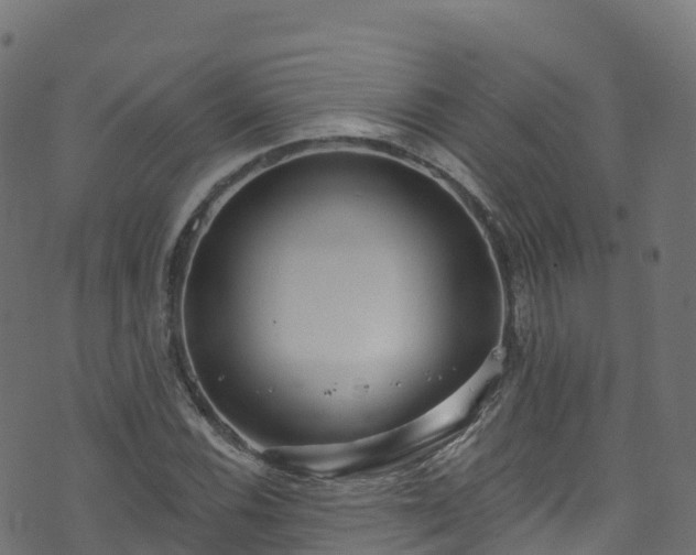 X0000070881116200606231336