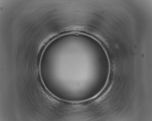 X0000070881117200606231336