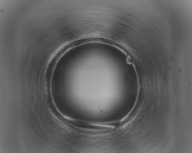 X0000070881118200606231336