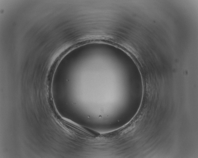 X0000070881119200606231336