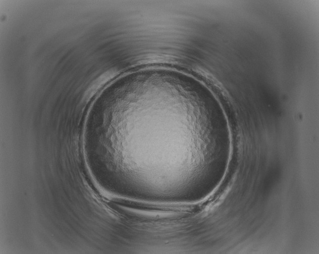 X0000070881121200606231336