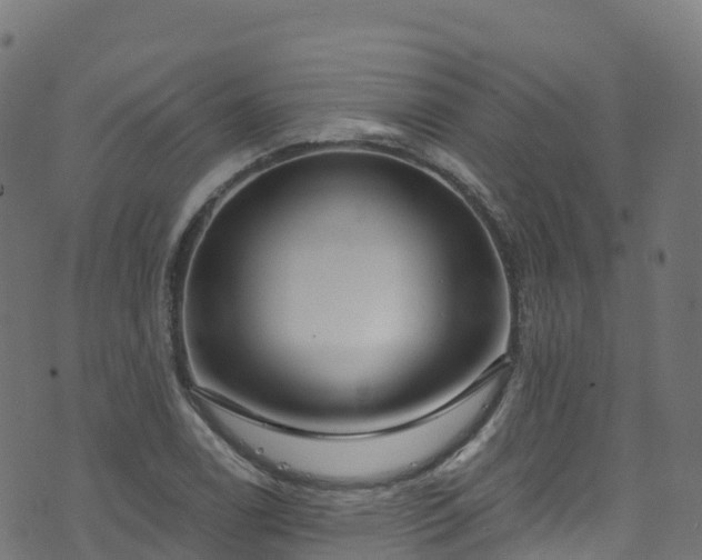 X0000070881122200606231336