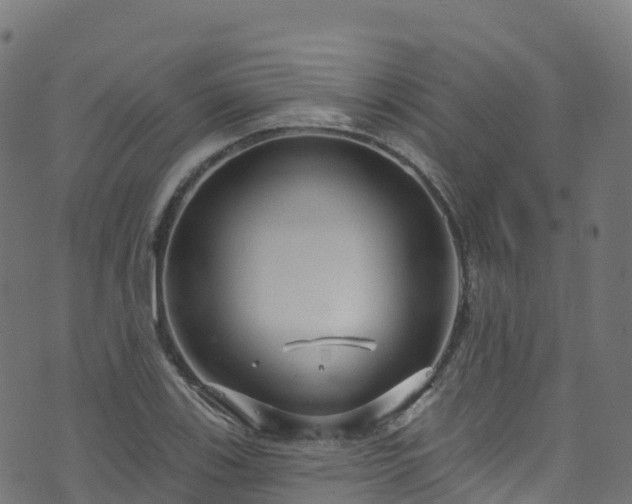 X0000070881123200606231336