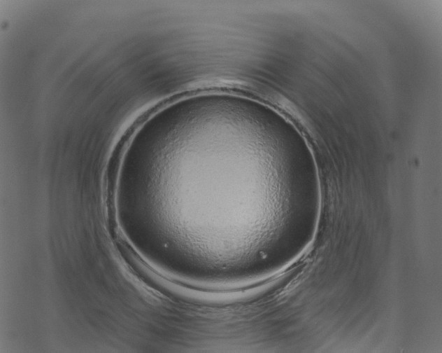 X0000070881124200606231336