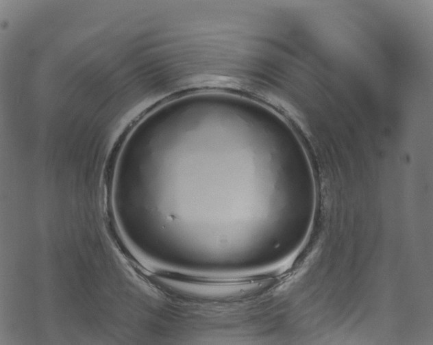 X0000070881125200606231336