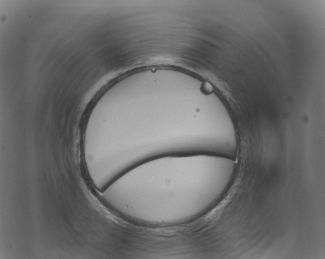 X0000070881126200606231336