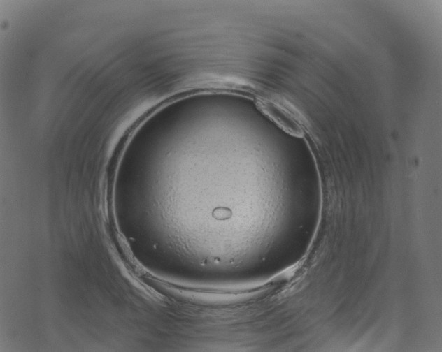 X0000070881128200606231336