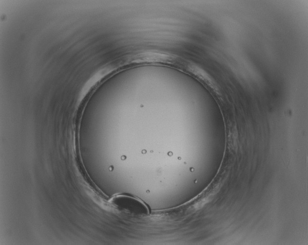 X0000070881130200606231336