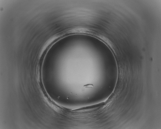 X0000070881131200606231336