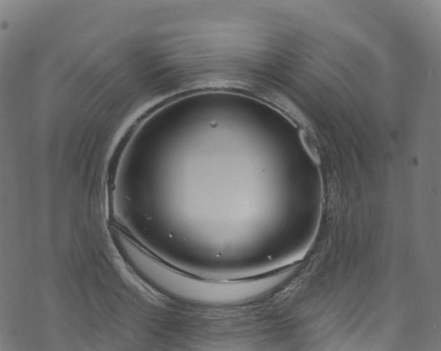 X0000070881132200606231336