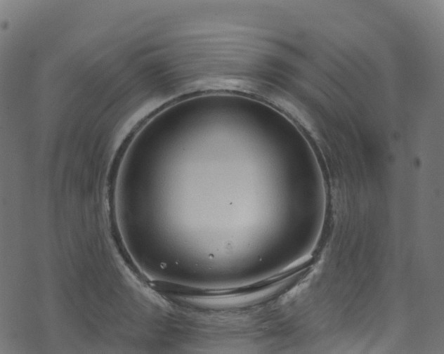 X0000070881133200606231336