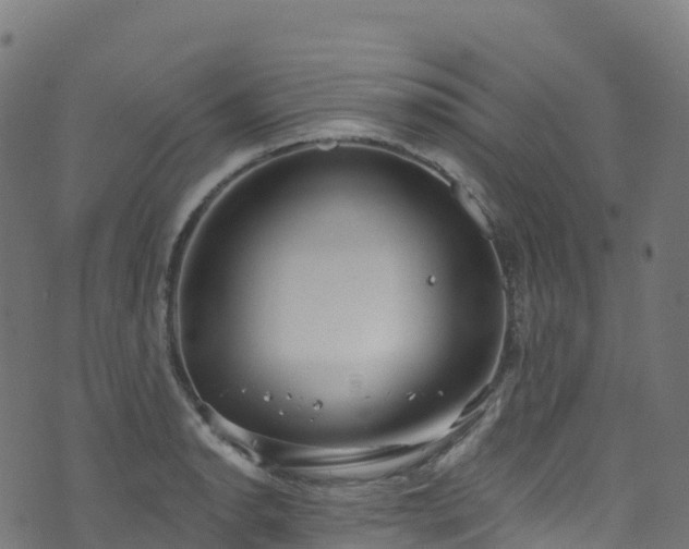 X0000070881134200606231336