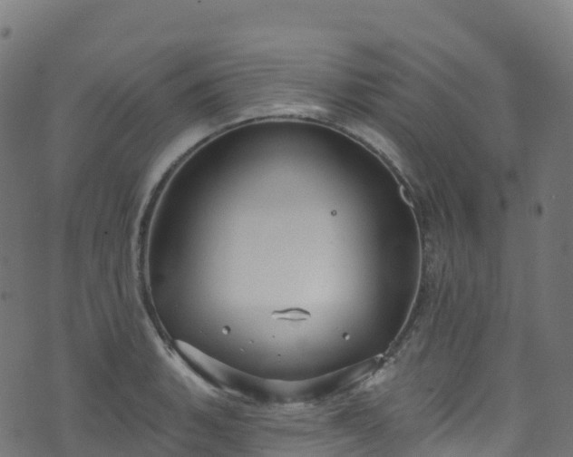 X0000070881135200606231336