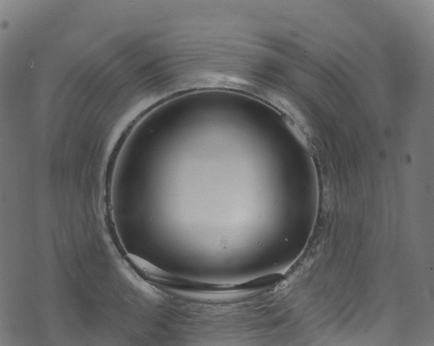 X0000070881136200606231336