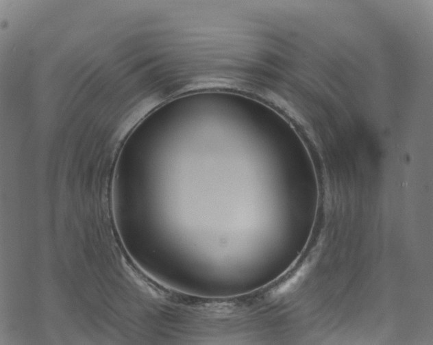 X0000070881137200606231336