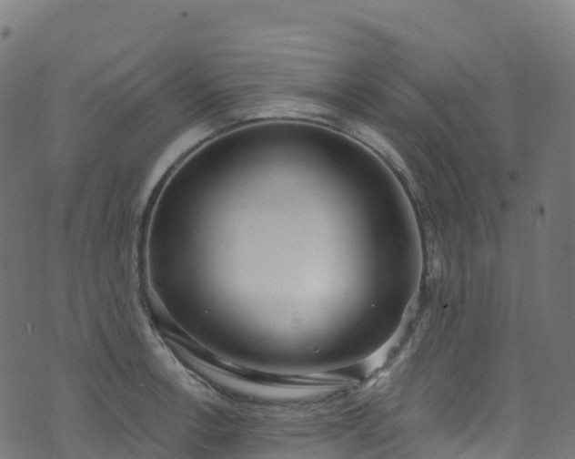 X0000070881138200606231336