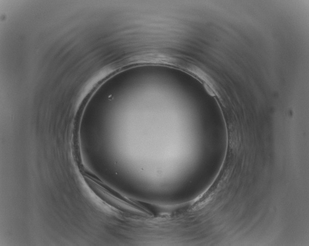 X0000070881139200606231336