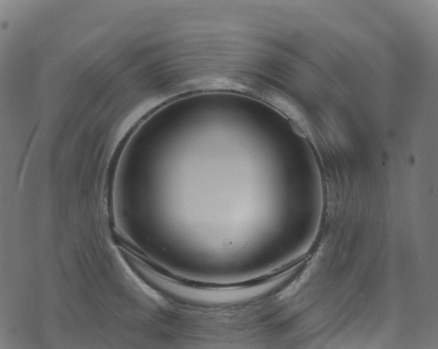 X0000070881141200606231336