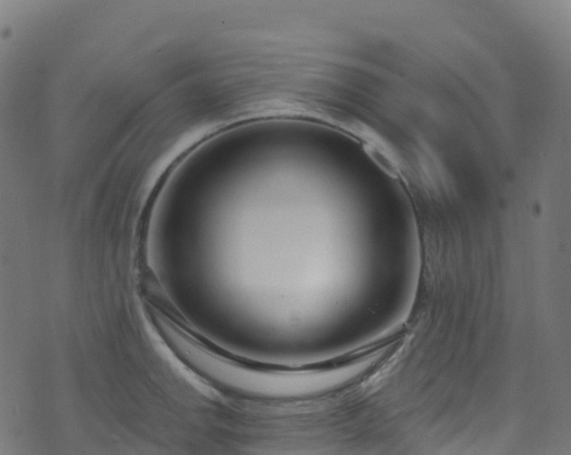 X0000070881142200606231336