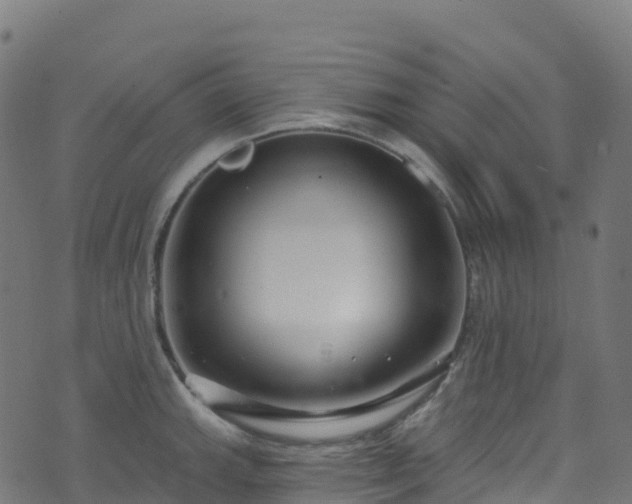 X0000070881143200606231336