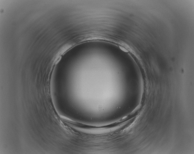 X0000070881145200606231336